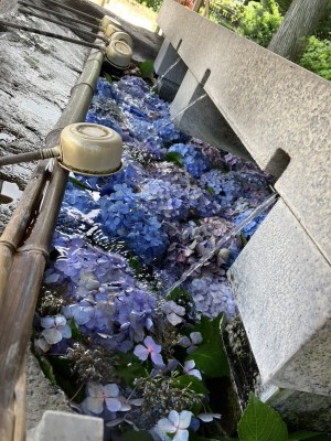 S__76955656_0