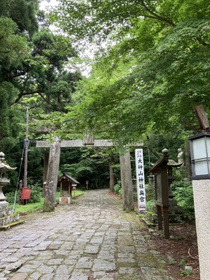 S__76955661_0